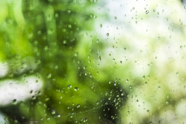 窓の外は雨