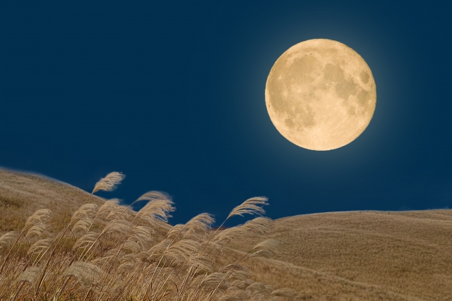 ススキと中秋の名月