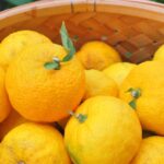 冬は柚子湯であったまろう