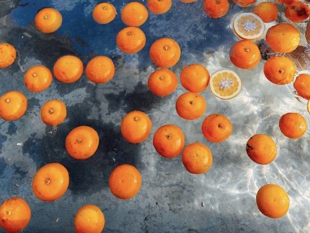 みかん湯でぬくぬく